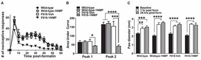 Pharmacogenetic inhibition of TrkB signaling in adult mice attenuates mechanical hypersensitivity and improves locomotor function after spinal cord injury